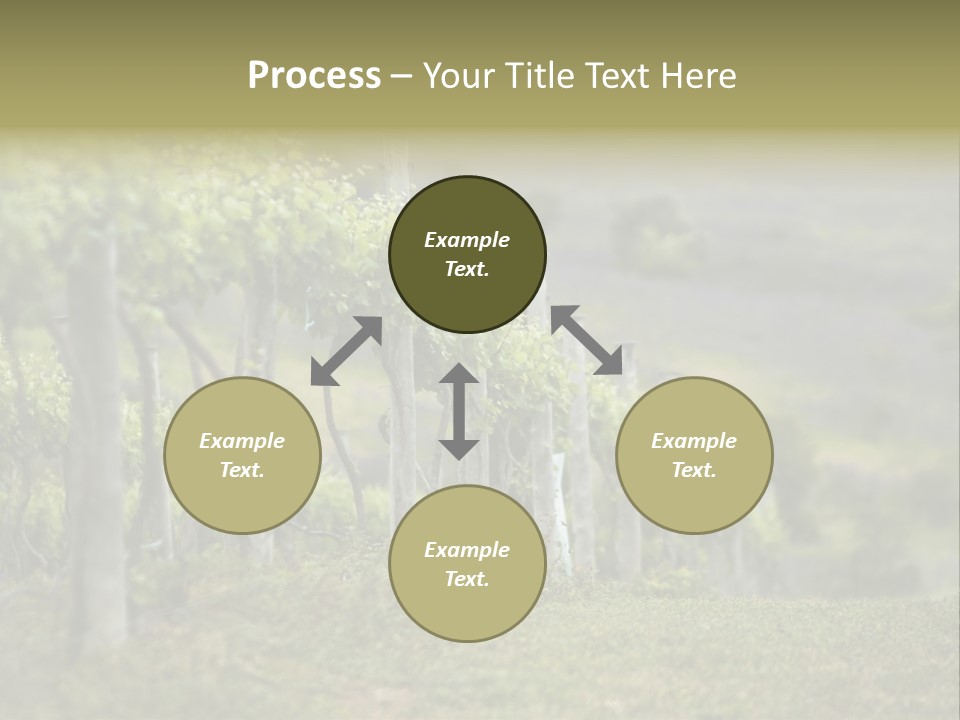Closeup View Of A Grape Vine PowerPoint Template