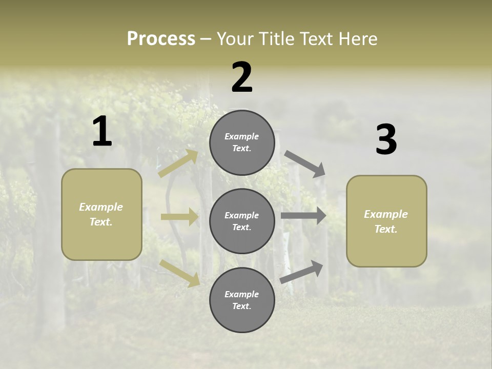 Closeup View Of A Grape Vine PowerPoint Template