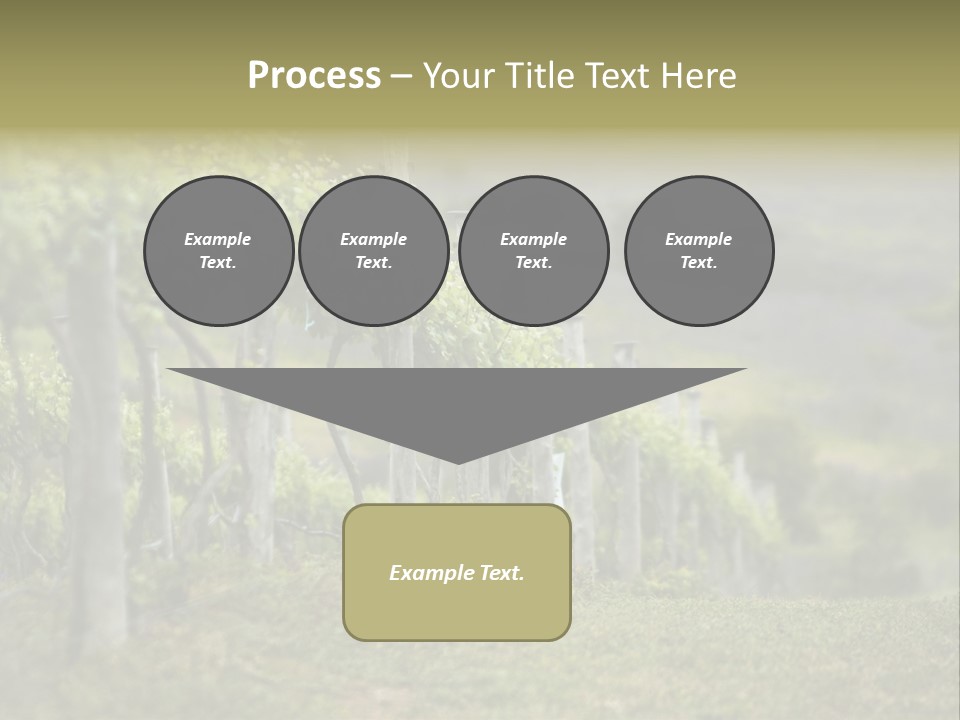 Closeup View Of A Grape Vine PowerPoint Template