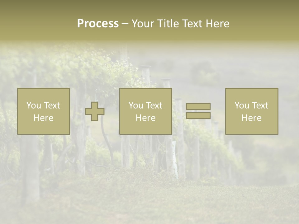 Closeup View Of A Grape Vine PowerPoint Template