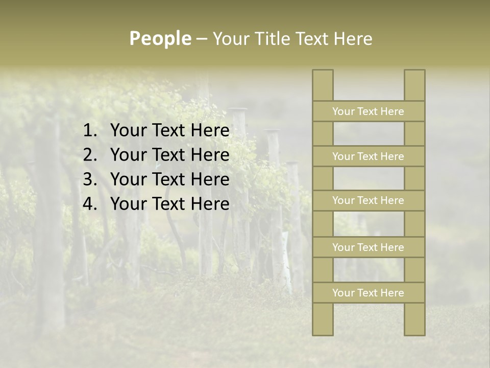 Closeup View Of A Grape Vine PowerPoint Template