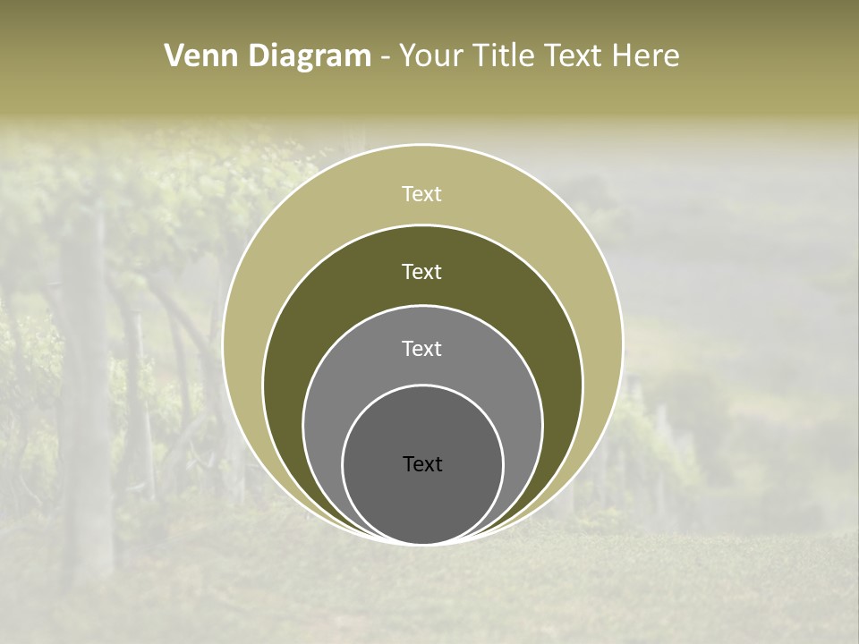 Closeup View Of A Grape Vine PowerPoint Template