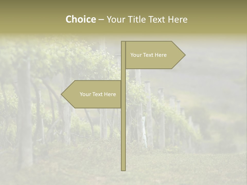 Closeup View Of A Grape Vine PowerPoint Template