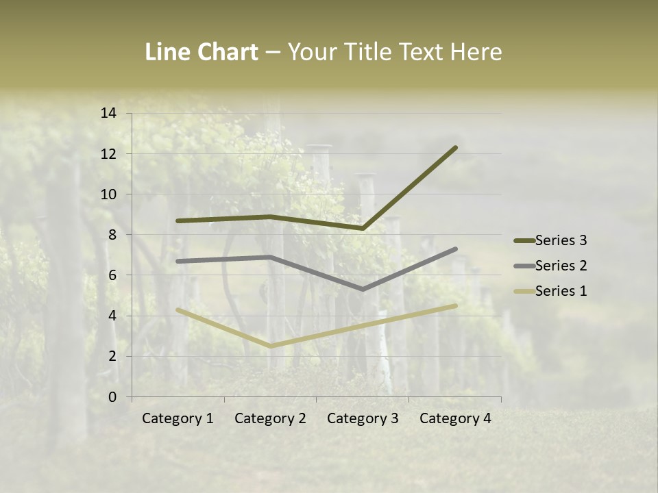 Closeup View Of A Grape Vine PowerPoint Template