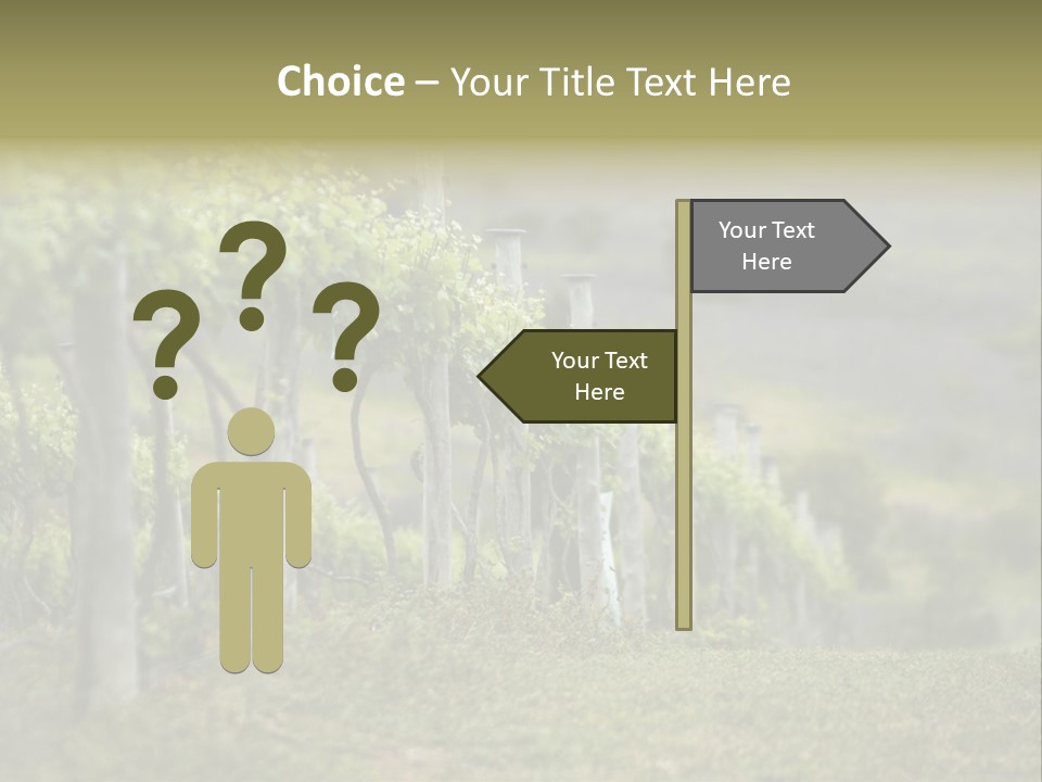 Closeup View Of A Grape Vine PowerPoint Template
