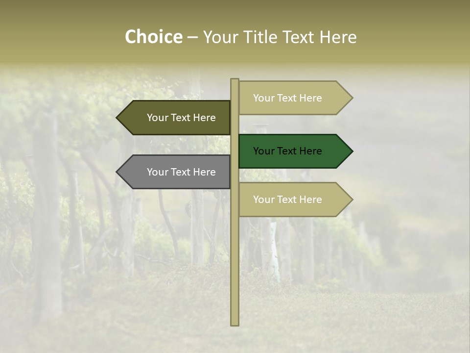 Closeup View Of A Grape Vine PowerPoint Template