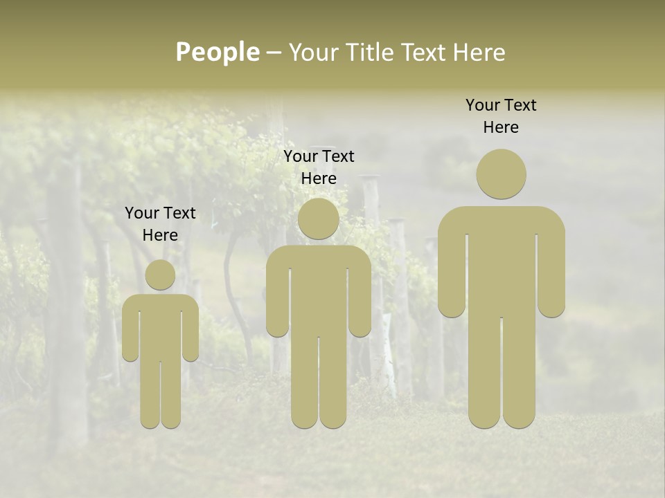 Closeup View Of A Grape Vine PowerPoint Template