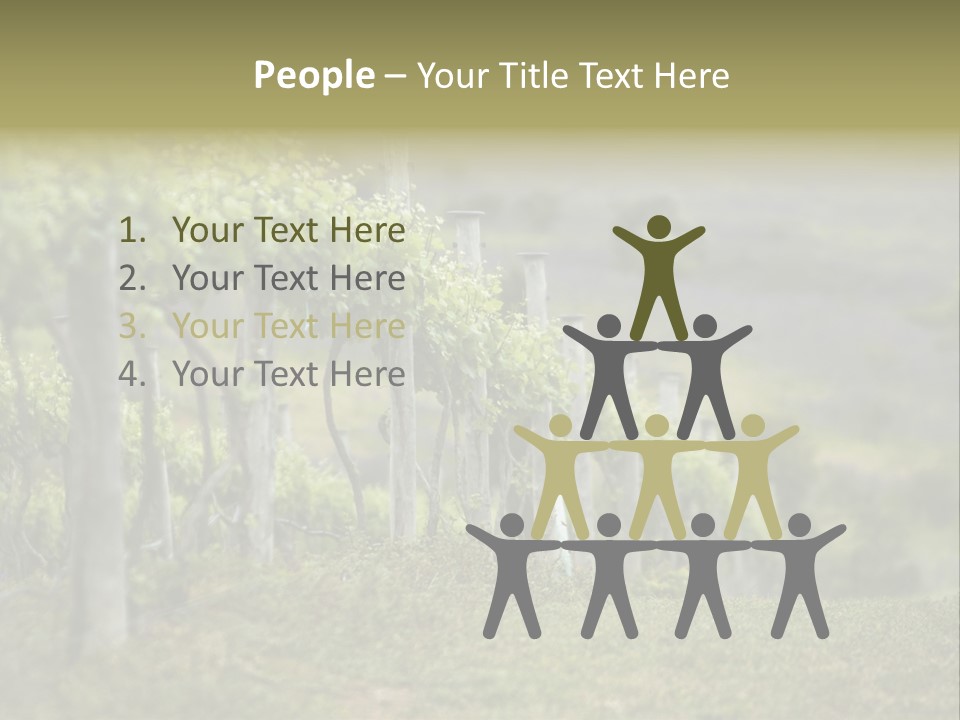 Closeup View Of A Grape Vine PowerPoint Template