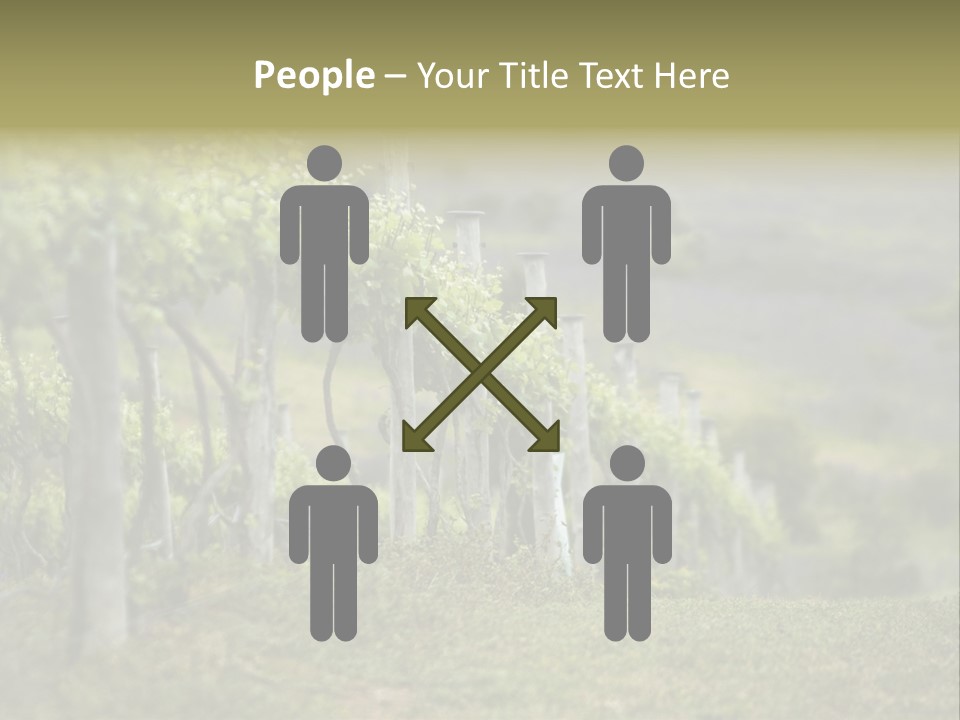 Closeup View Of A Grape Vine PowerPoint Template