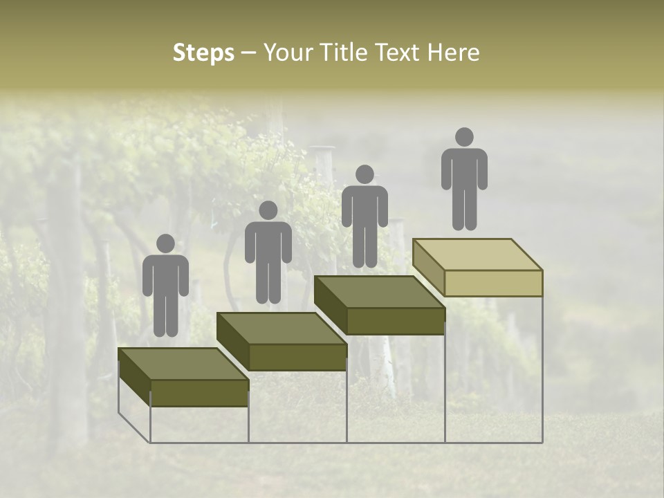 Closeup View Of A Grape Vine PowerPoint Template
