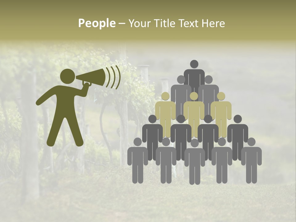 Closeup View Of A Grape Vine PowerPoint Template