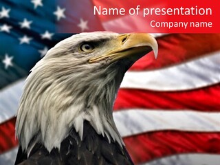 Double Exposure: Bald Eagle In The Foreground With The American Flag Blurred In The Background. PowerPoint Template