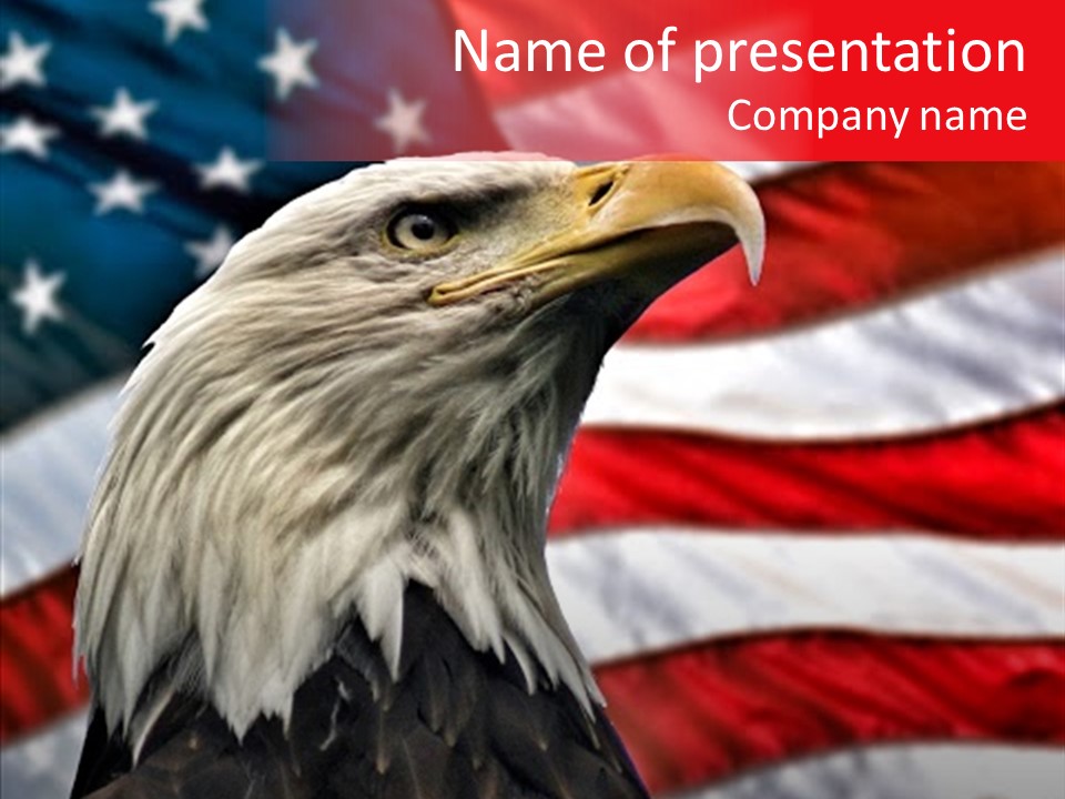 Double Exposure: Bald Eagle In The Foreground With The American Flag Blurred In The Background. PowerPoint Template