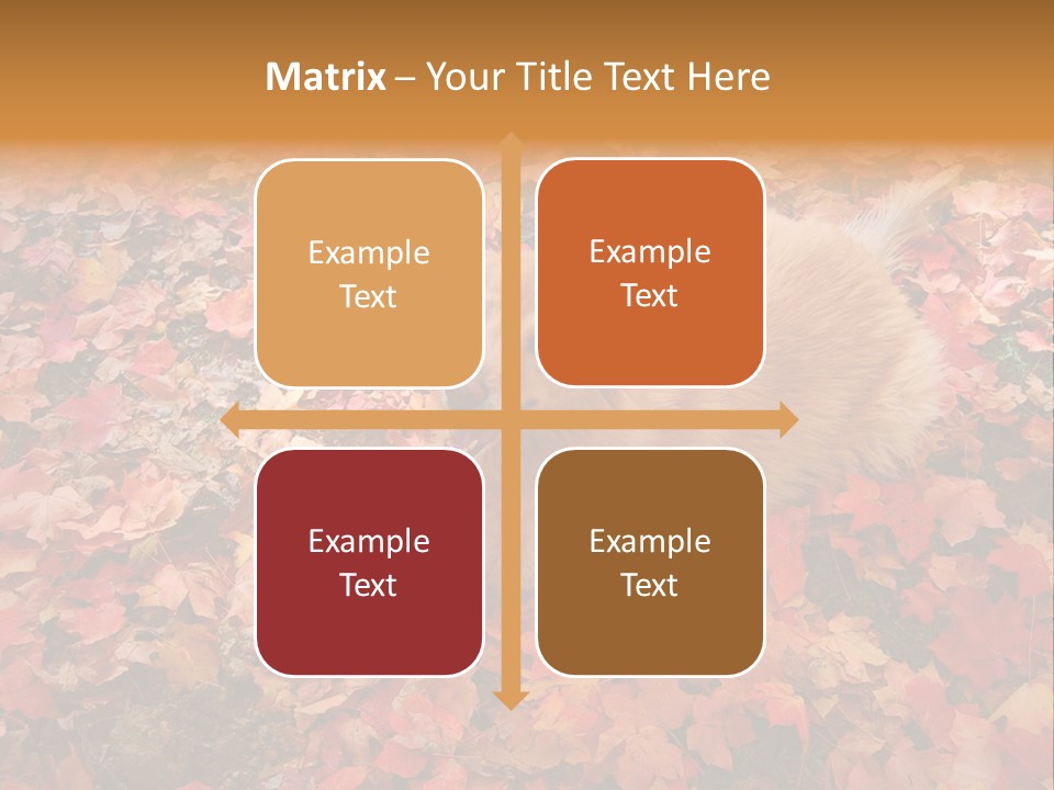 Dog In Colorful Leaves PowerPoint Template