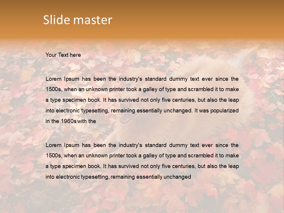 Dog In Colorful Leaves PowerPoint Template