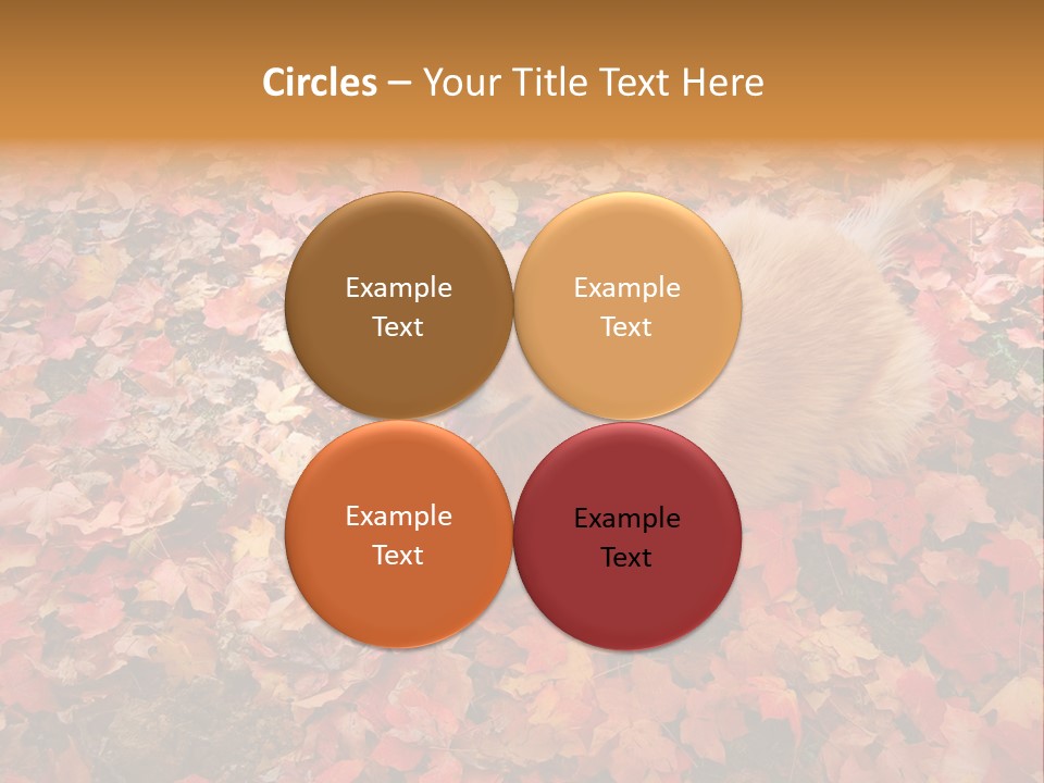 Dog In Colorful Leaves PowerPoint Template