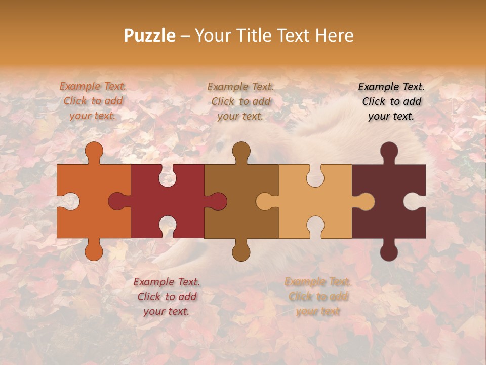 Dog In Colorful Leaves PowerPoint Template