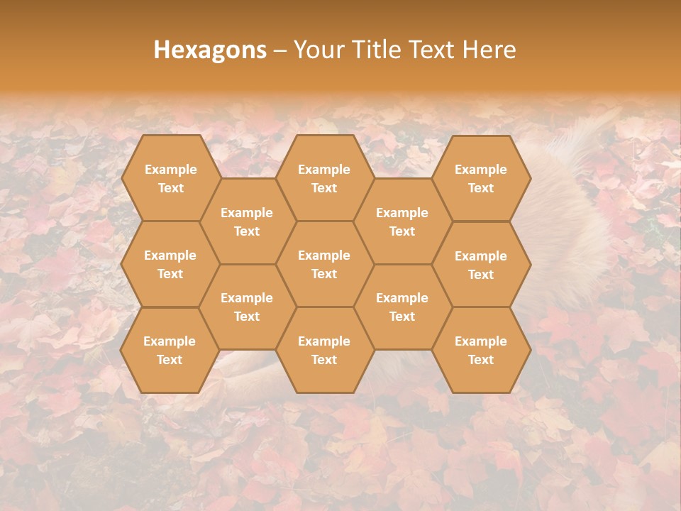 Dog In Colorful Leaves PowerPoint Template