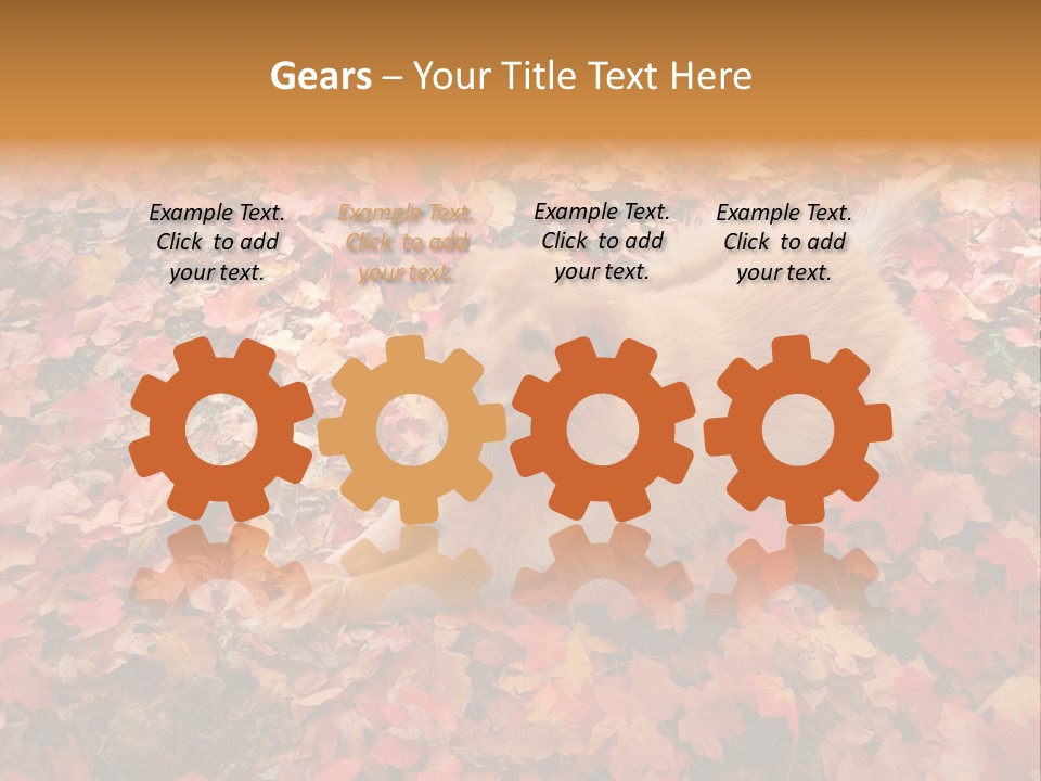 Dog In Colorful Leaves PowerPoint Template