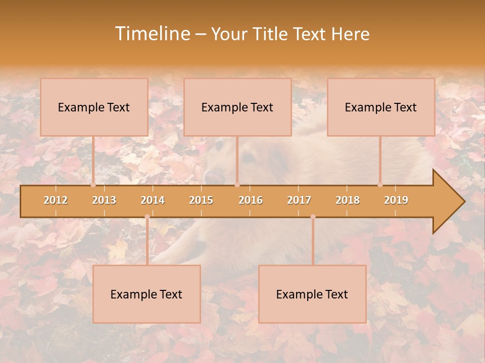 Dog In Colorful Leaves PowerPoint Template