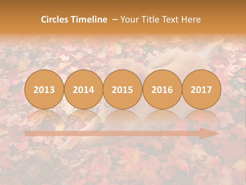 Dog In Colorful Leaves PowerPoint Template