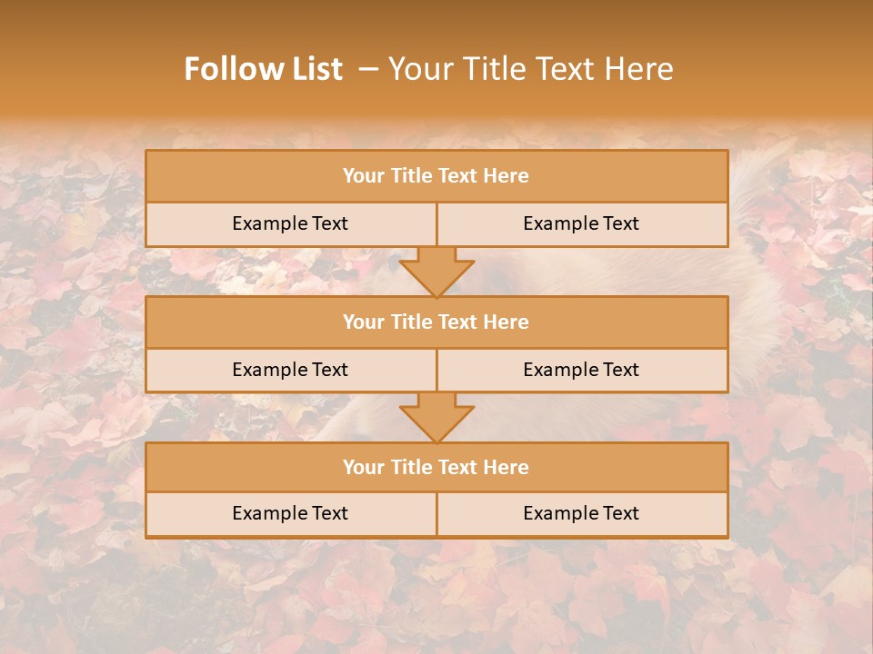 Dog In Colorful Leaves PowerPoint Template