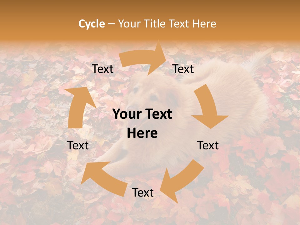 Dog In Colorful Leaves PowerPoint Template