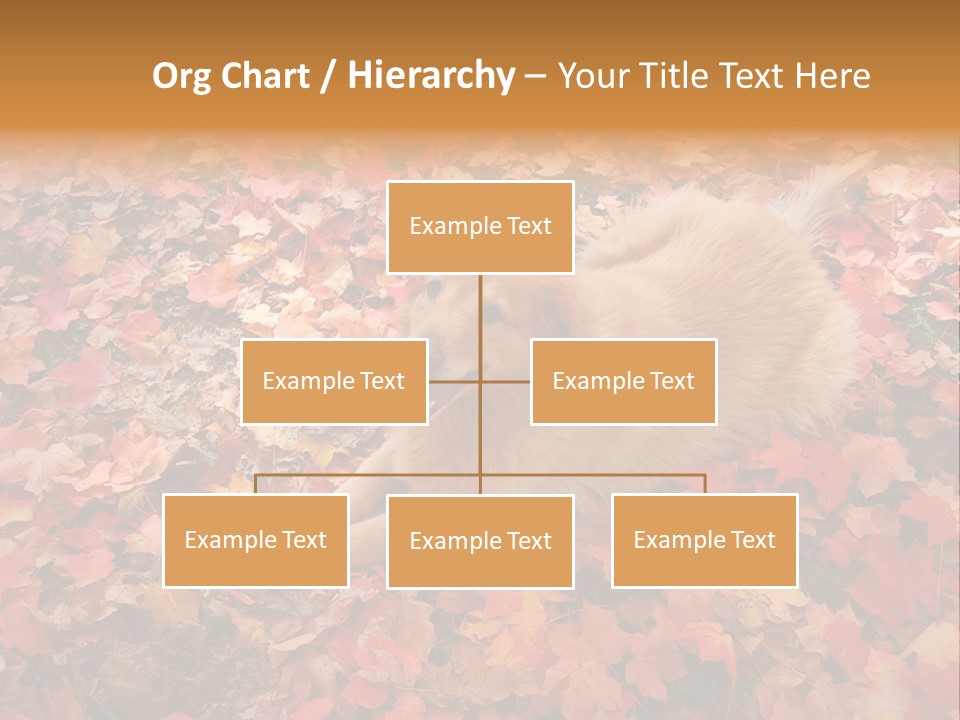 Dog In Colorful Leaves PowerPoint Template