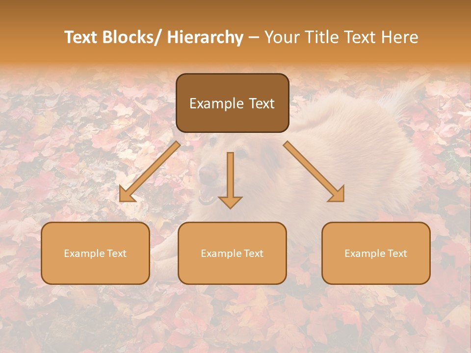 Dog In Colorful Leaves PowerPoint Template