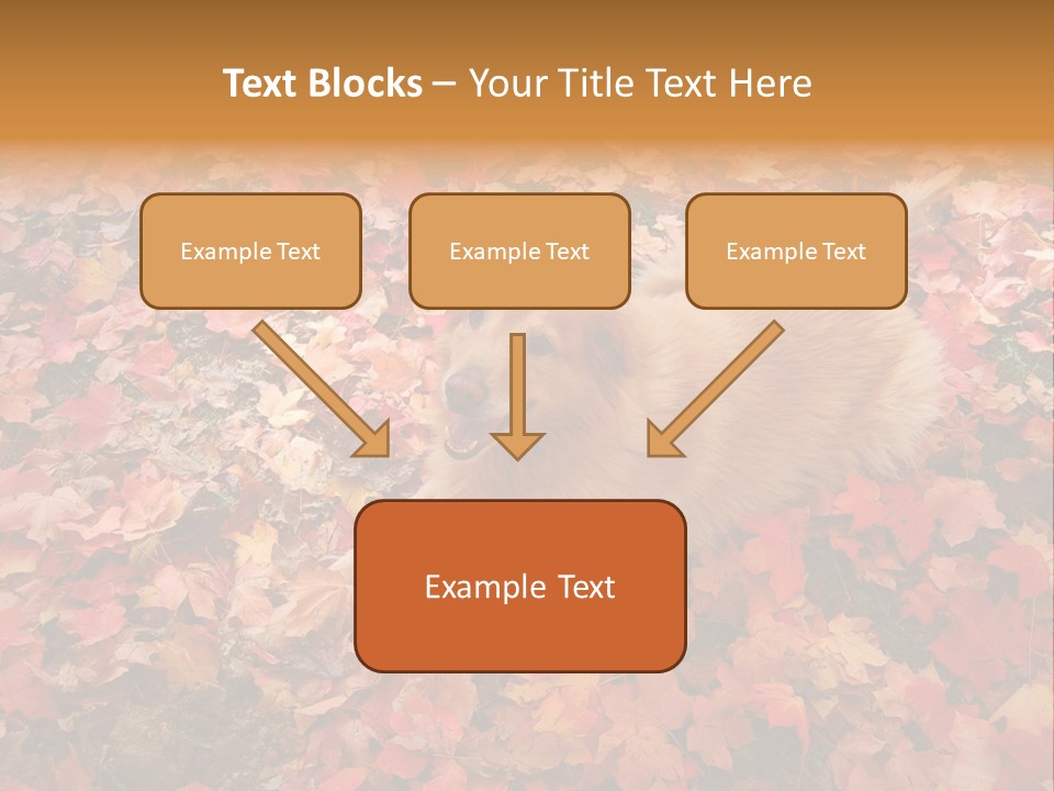 Dog In Colorful Leaves PowerPoint Template