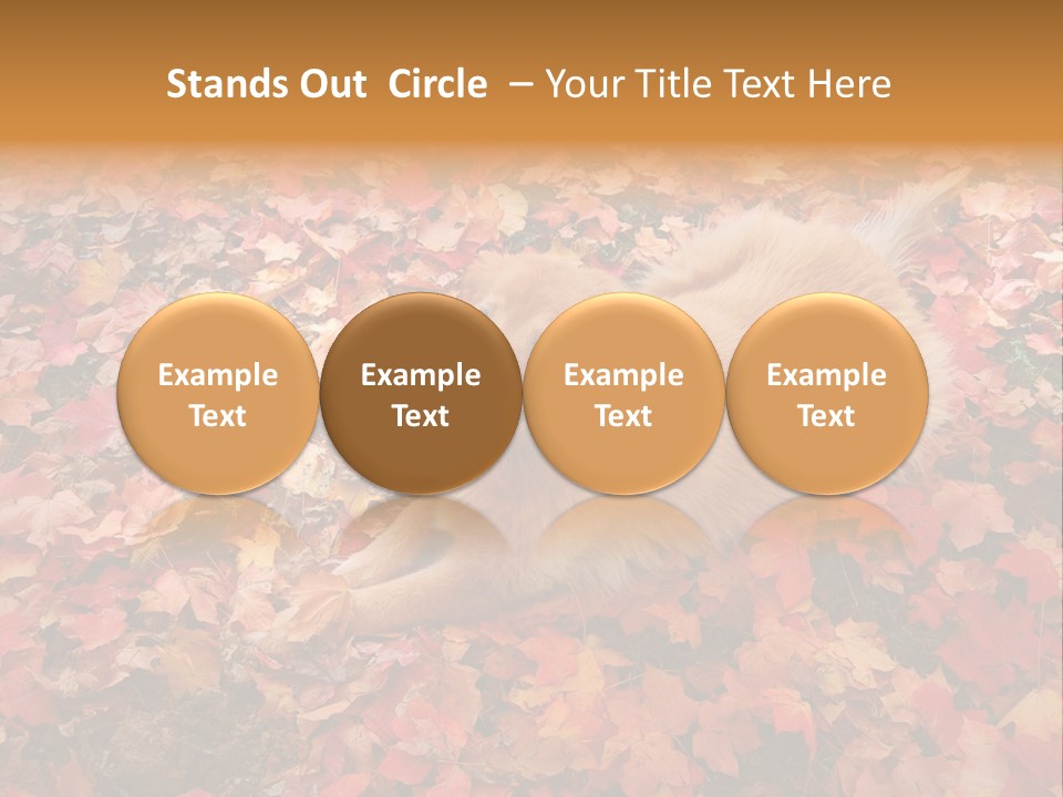 Dog In Colorful Leaves PowerPoint Template