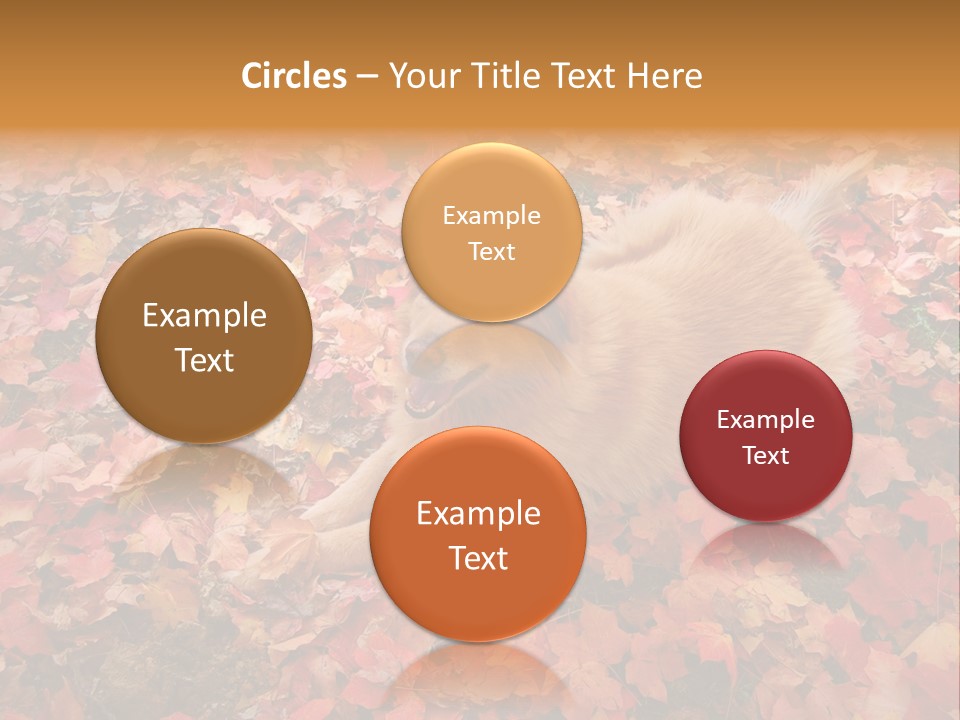 Dog In Colorful Leaves PowerPoint Template