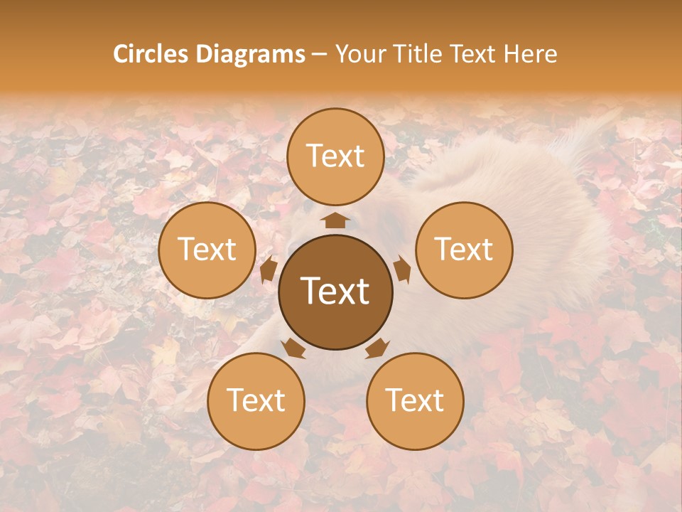 Dog In Colorful Leaves PowerPoint Template