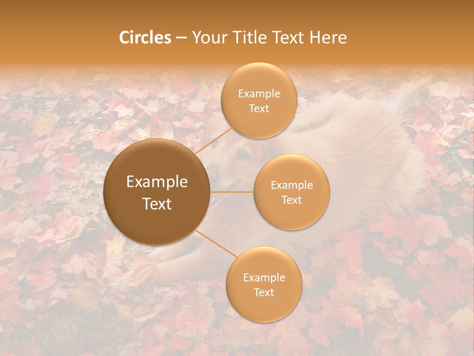 Dog In Colorful Leaves PowerPoint Template