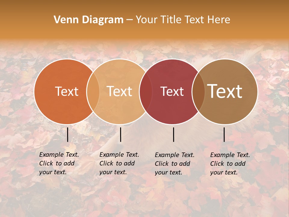 Dog In Colorful Leaves PowerPoint Template