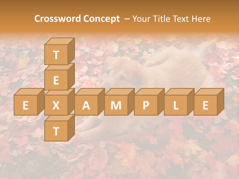 Dog In Colorful Leaves PowerPoint Template