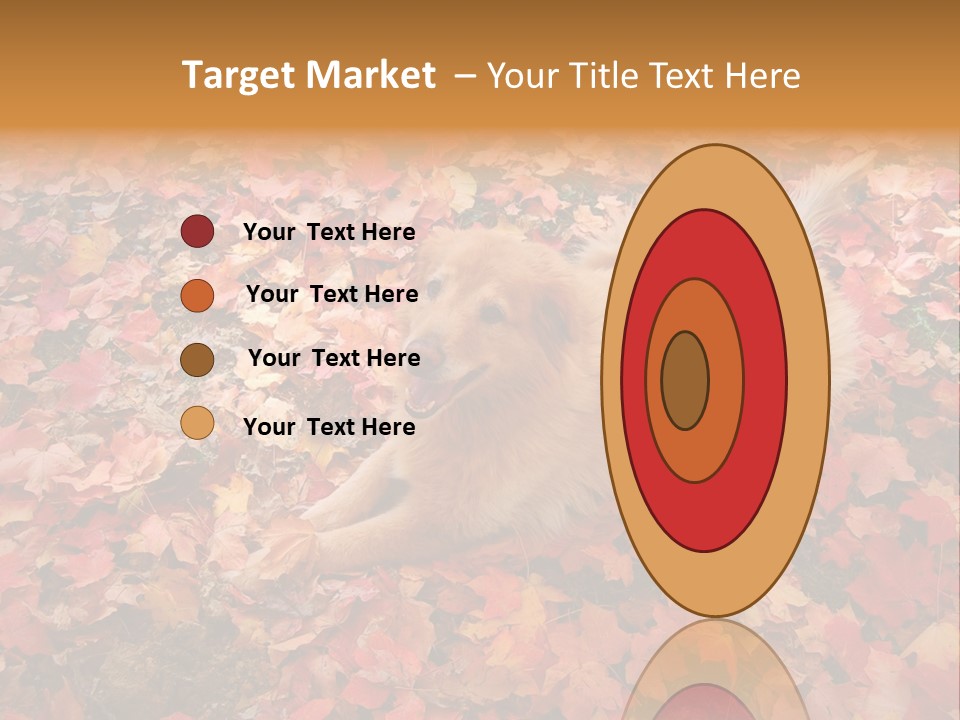 Dog In Colorful Leaves PowerPoint Template