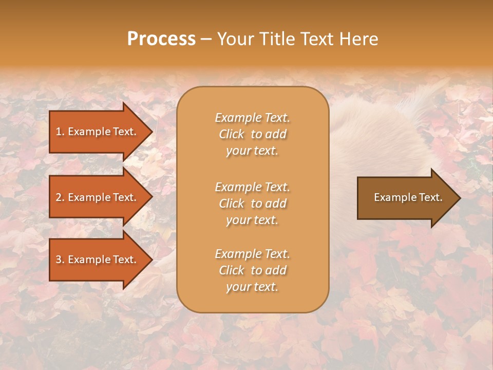 Dog In Colorful Leaves PowerPoint Template
