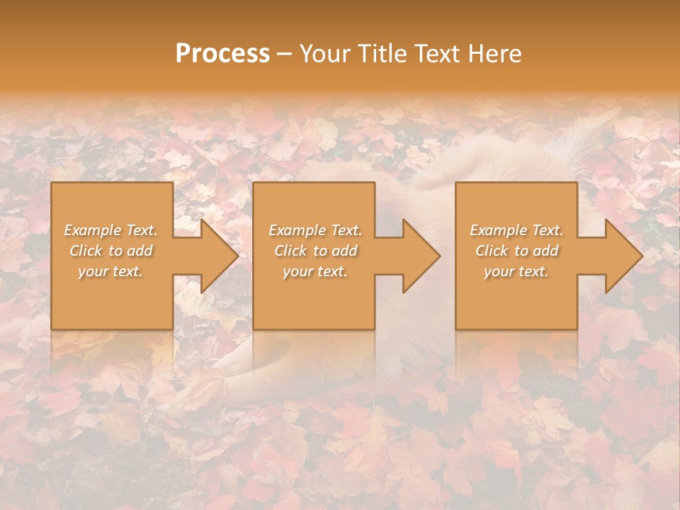 Dog In Colorful Leaves PowerPoint Template