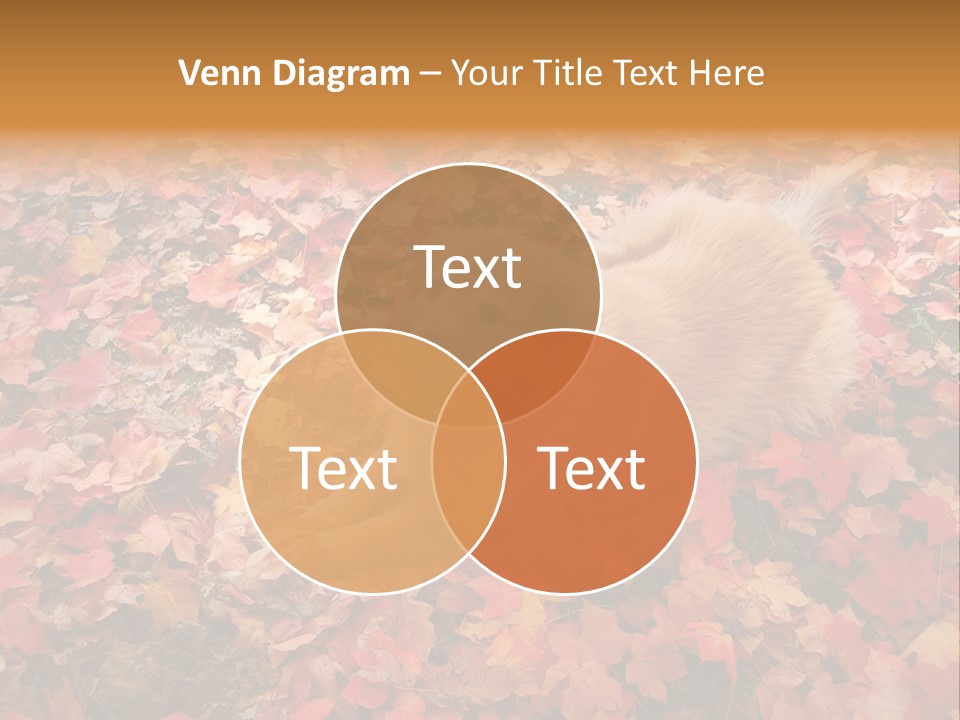 Dog In Colorful Leaves PowerPoint Template