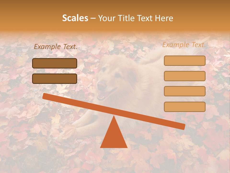 Dog In Colorful Leaves PowerPoint Template
