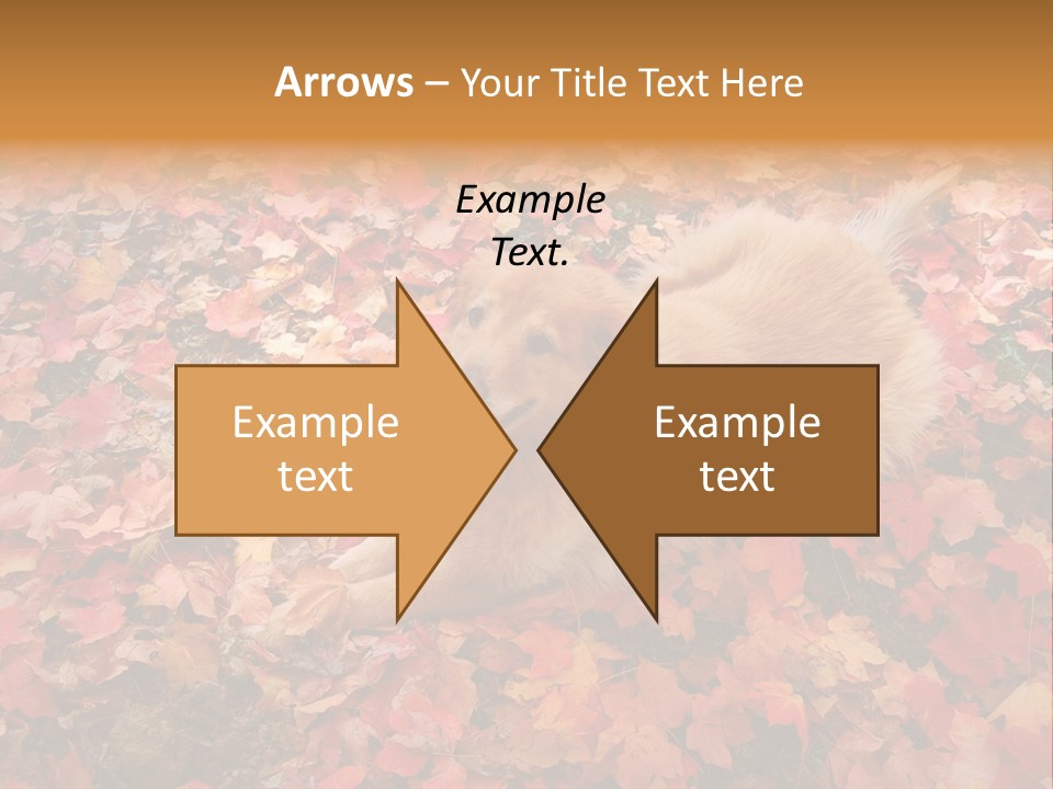 Dog In Colorful Leaves PowerPoint Template