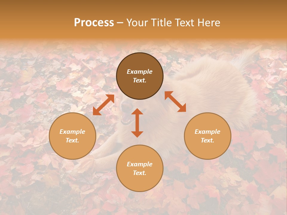 Dog In Colorful Leaves PowerPoint Template