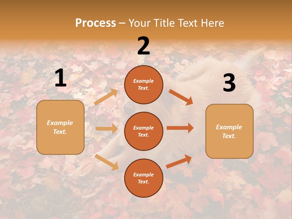 Dog In Colorful Leaves PowerPoint Template