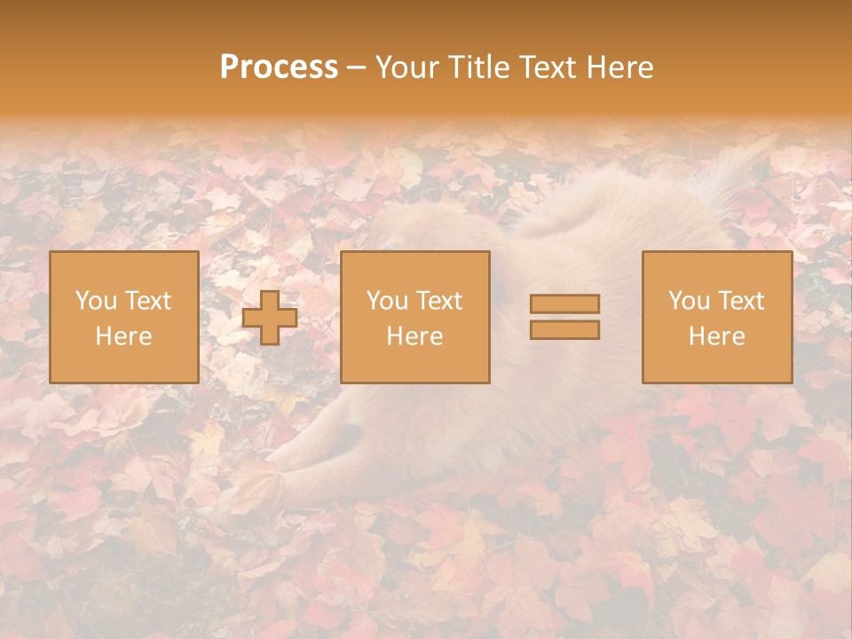 Dog In Colorful Leaves PowerPoint Template