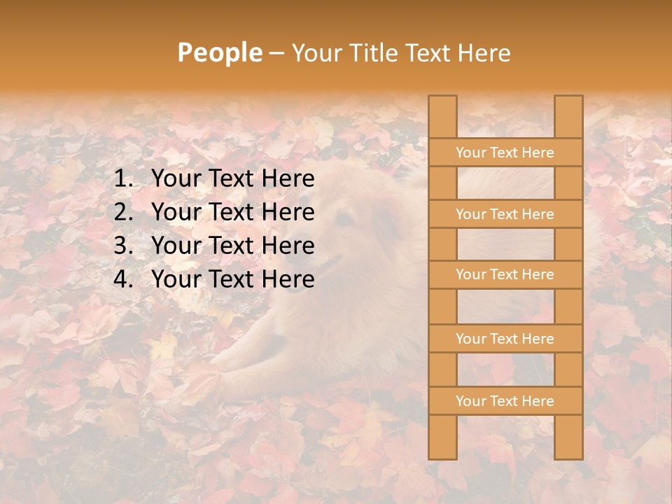 Dog In Colorful Leaves PowerPoint Template