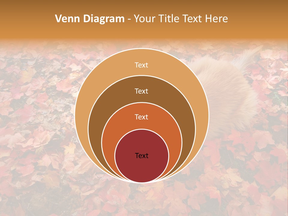 Dog In Colorful Leaves PowerPoint Template