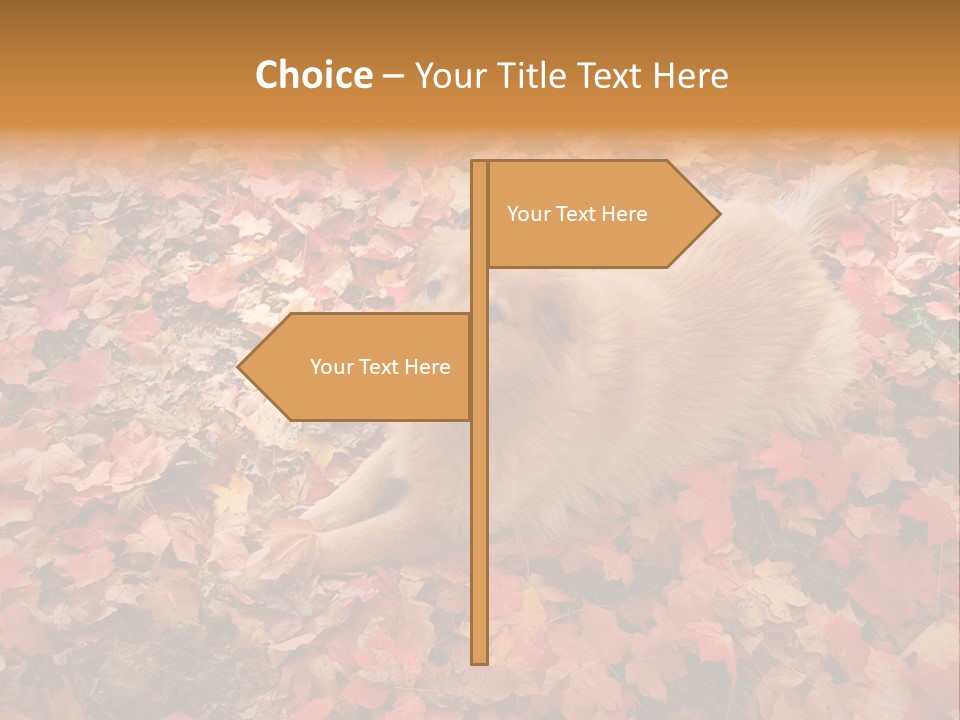Dog In Colorful Leaves PowerPoint Template