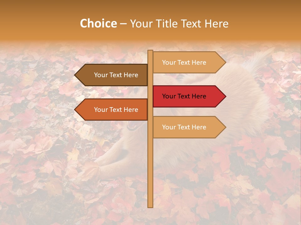 Dog In Colorful Leaves PowerPoint Template