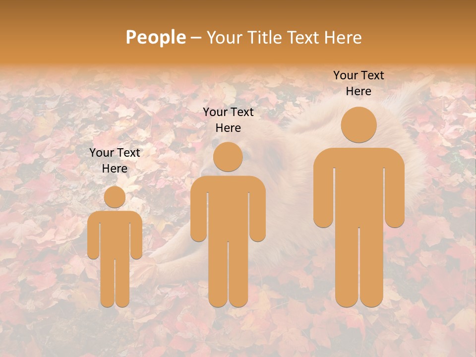 Dog In Colorful Leaves PowerPoint Template